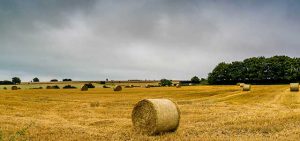 Autumn Cotswolds Hay bales by Steve Immerman
