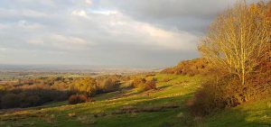 Autumn at Dovers Hill