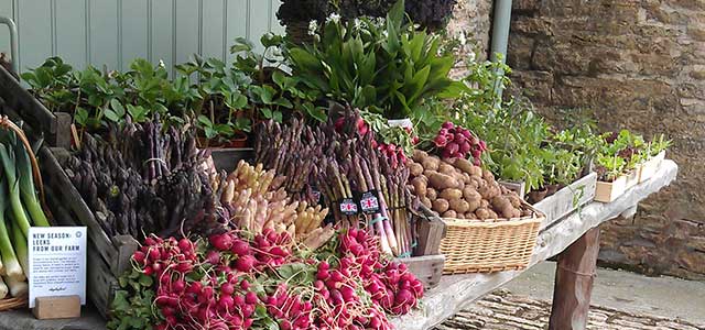 Spring Seasonal Produce in the Cotswolds