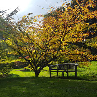 batsford-arboretum-things-to-do-cotswolds-tour-guide